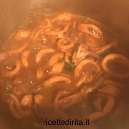 Calamari al sugo
