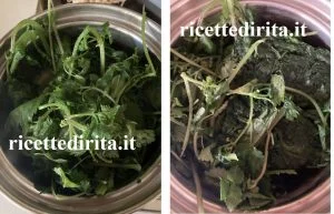 Fagotto Spinaci e Ortica