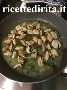 Pasta