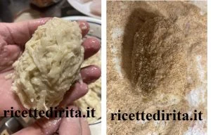 Mediterranea
