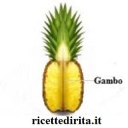 Ananas maturo