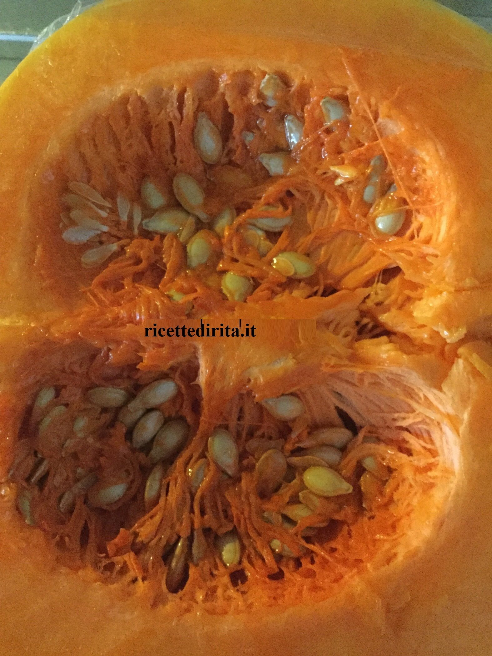 Zucca