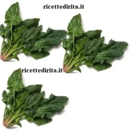 Spinaci