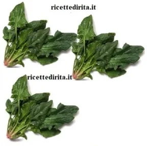 Spinaci